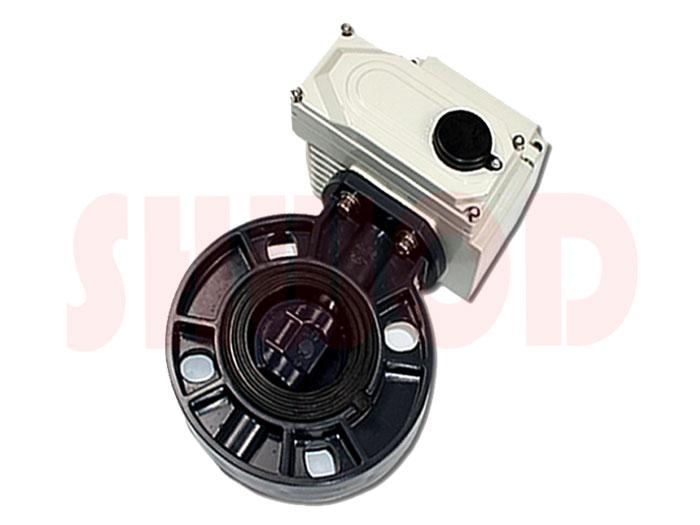 丝瓜视频免费观看蝶阀