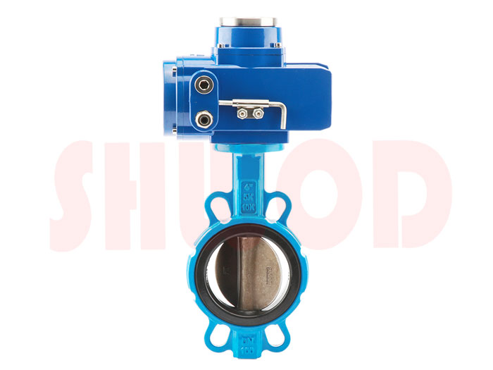 丝瓜视频免费观看蝶阀