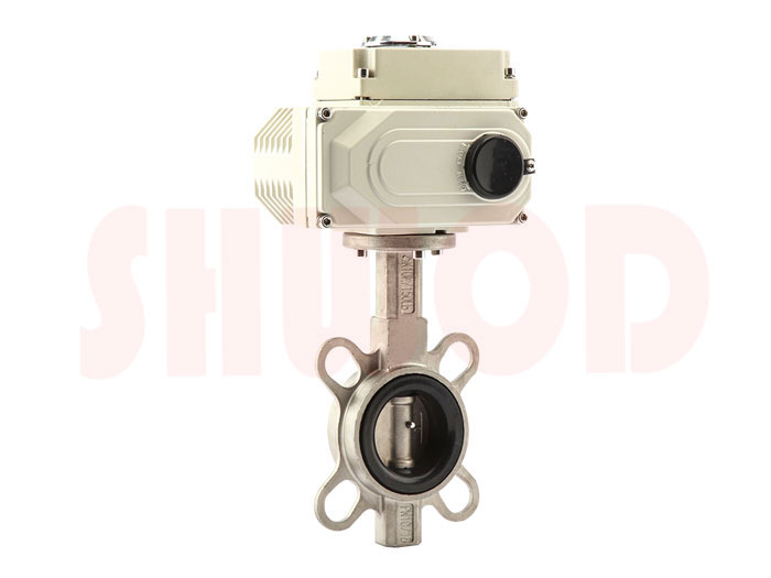 丝瓜视频免费观看蝶阀