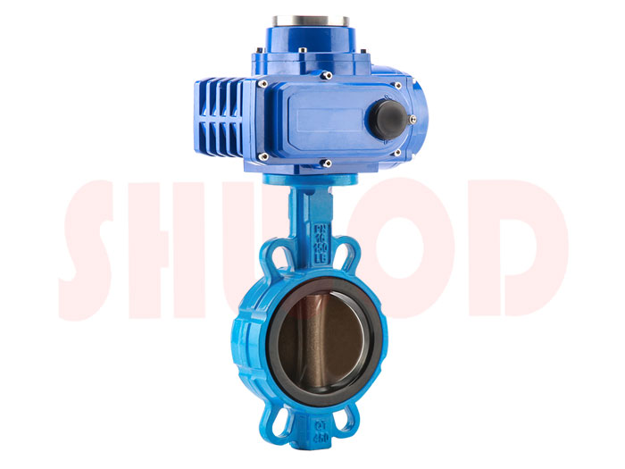 丝瓜视频免费观看蝶阀