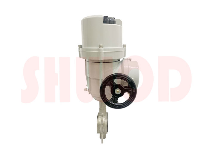 丝瓜视频免费观看蝶阀