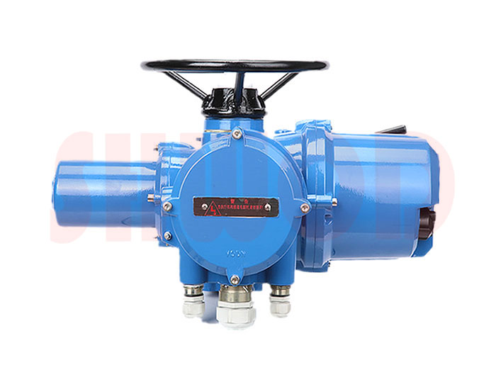 丝瓜视频免费观看执行器