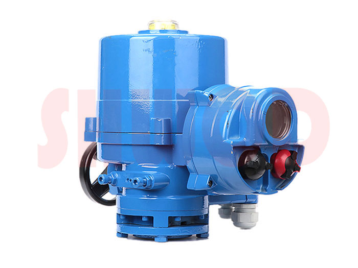 丝瓜视频免费观看执行器