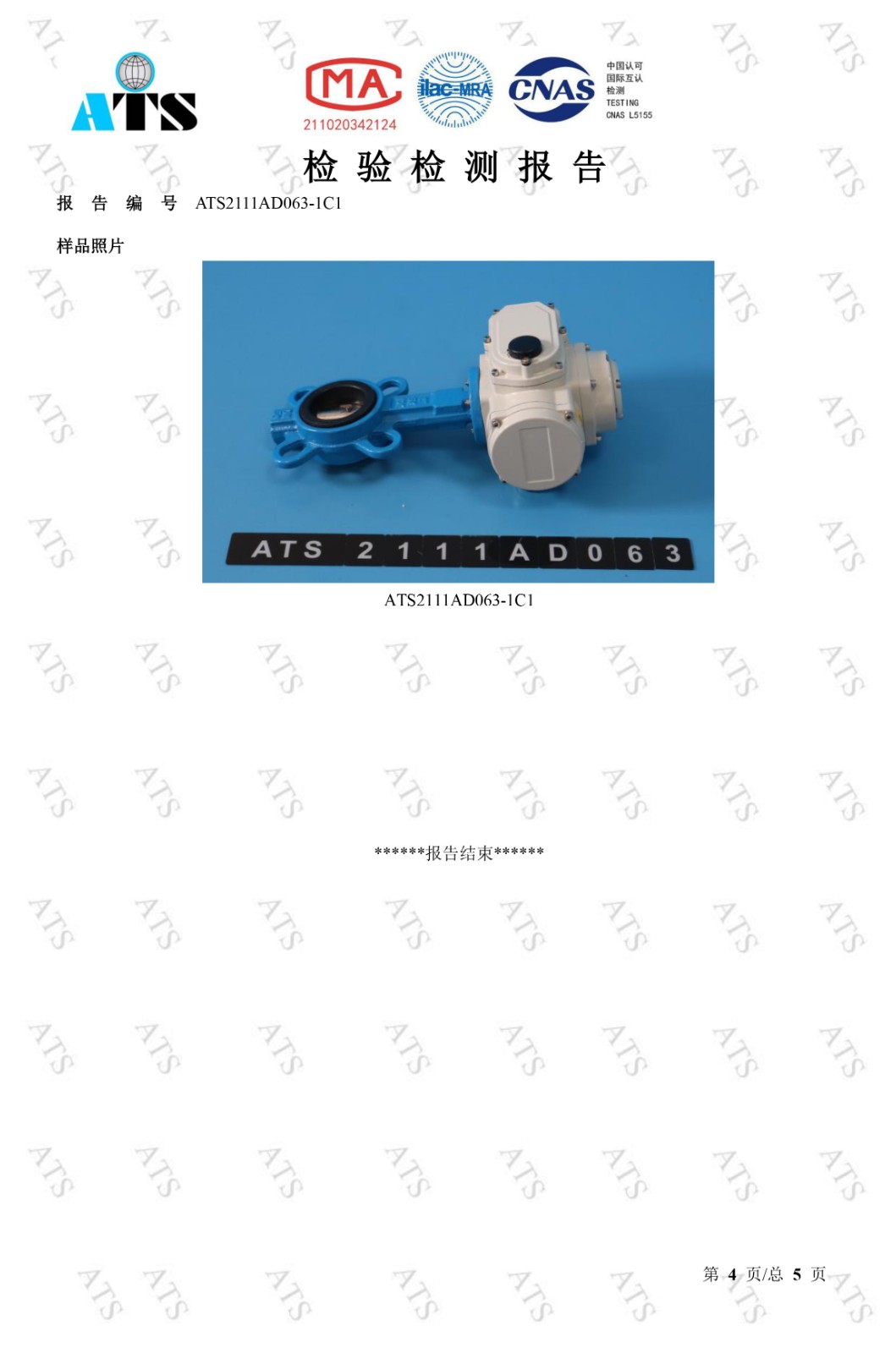 丝瓜视频免费观看阀检验检测报告
