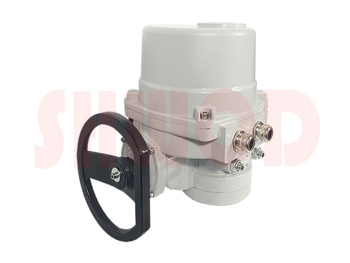 角行程丝瓜视频免费观看执行器