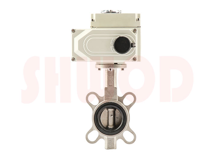 丝瓜视频免费观看蝶阀