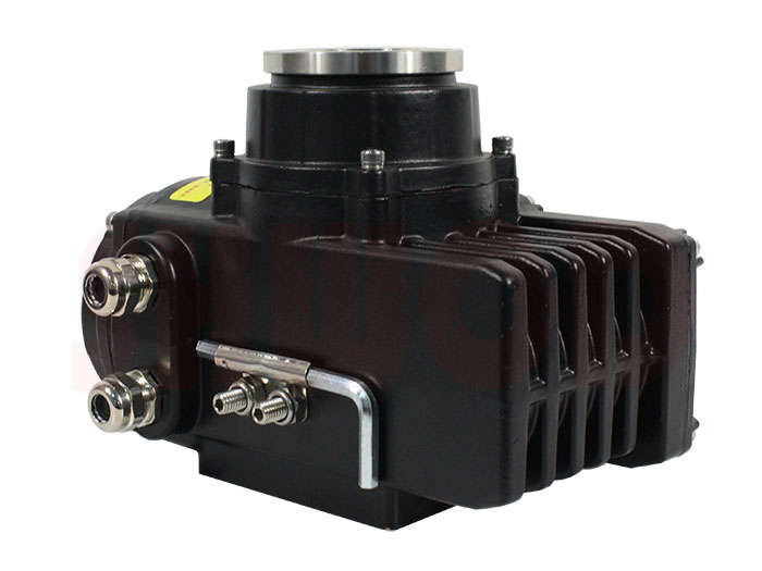 丝瓜视频免费观看执行器 丝瓜视频免费观看执行器