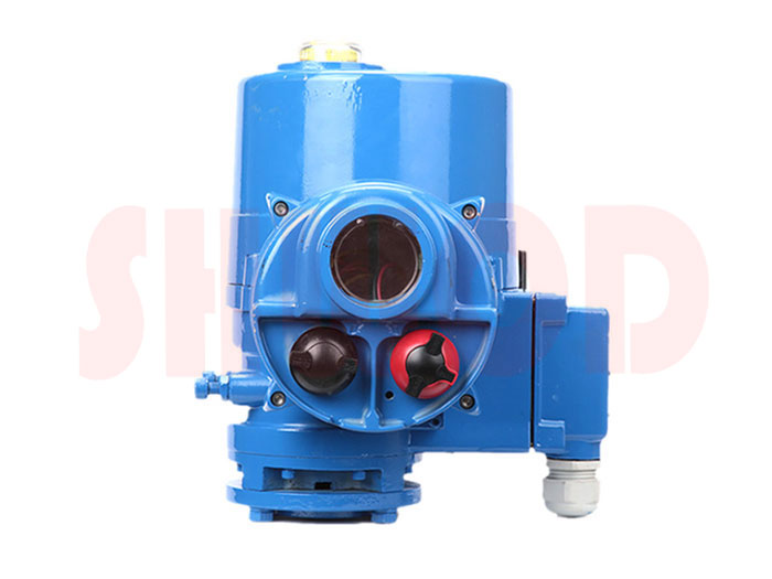 丝瓜视频免费观看执行器