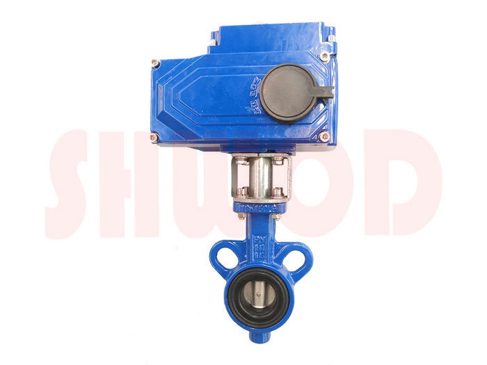 丝瓜视频免费观看蝶阀 丝瓜视频免费观看蝶阀